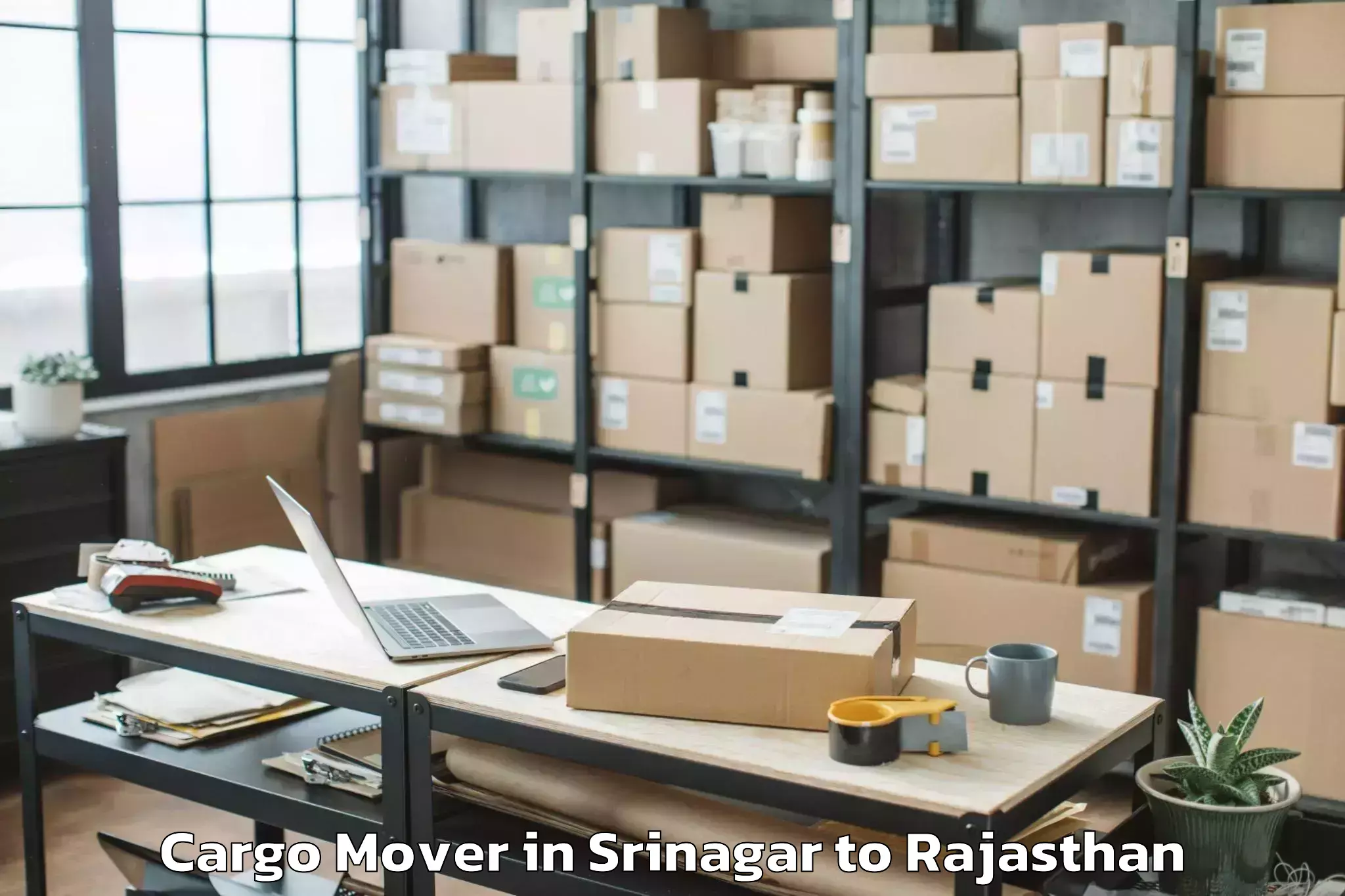 Professional Srinagar to Singhania University Jhunjhunu Cargo Mover